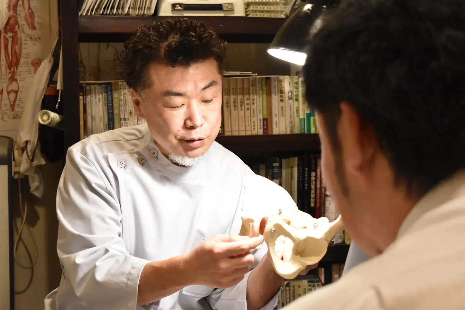 【構造深掘り解説】「整体　股関節痛」でお探しの方へ